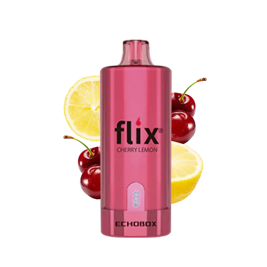 FLIX ECHOBOX 12,000 PUFF