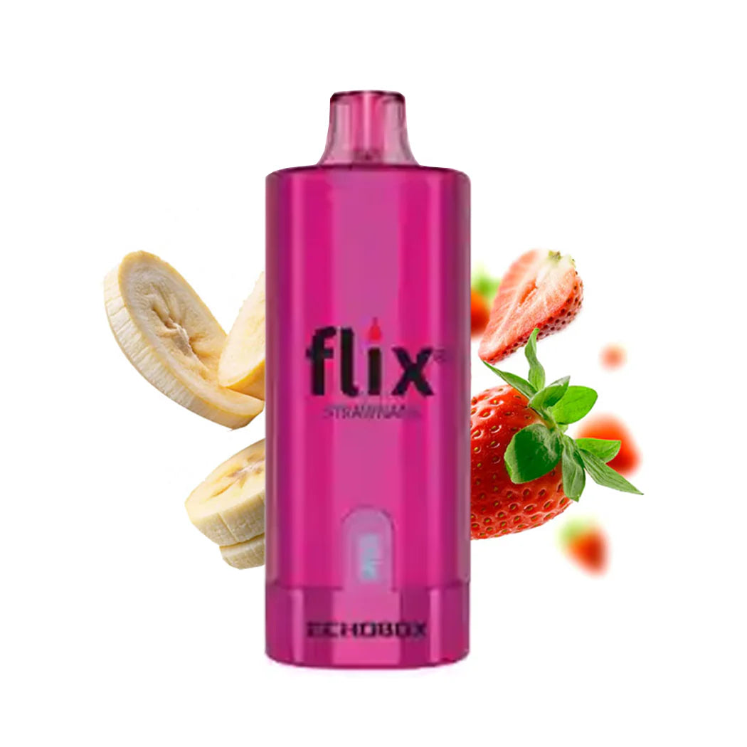 FLIX ECHOBOX 12,000 PUFF