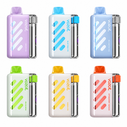 VOZOL VISTA 40,000 PUFF